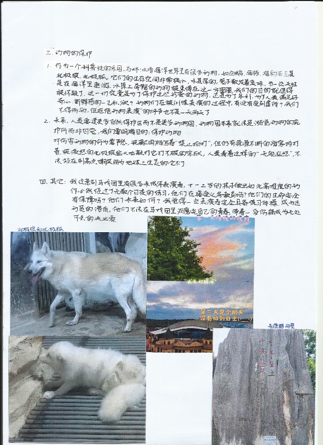 图片 22
