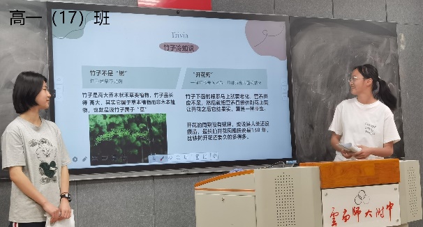 图片 11