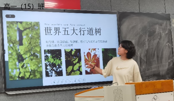 图片 9