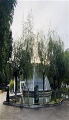 IMG_5903(20181031-081426)