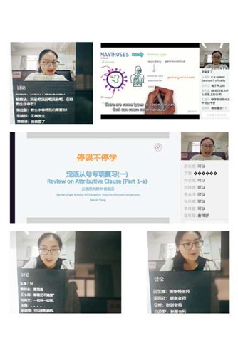 杨晓芬