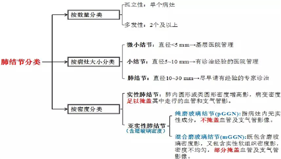 肺结节分类