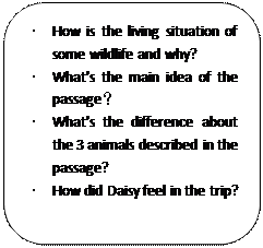 圆角矩形: · How is the living situation of some wildlife and why? · What’s the main idea of the passage？ · What’s the difference about the 3 animals described in the passage? · How did Daisy feel in the trip? 